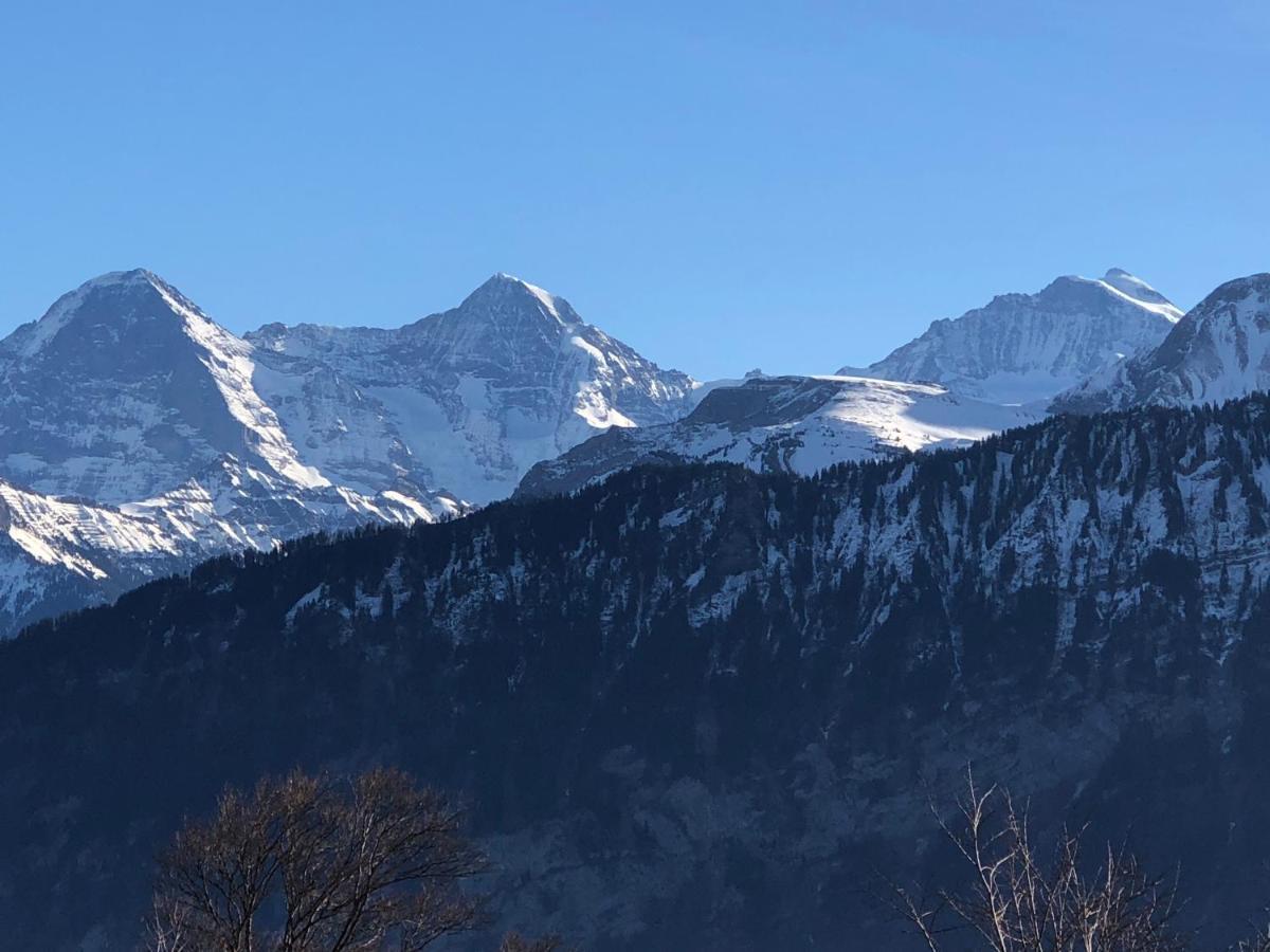 Wohnung Mit See Und Bergsicht Im Vier Sterne Hotel Беатенберґ Екстер'єр фото