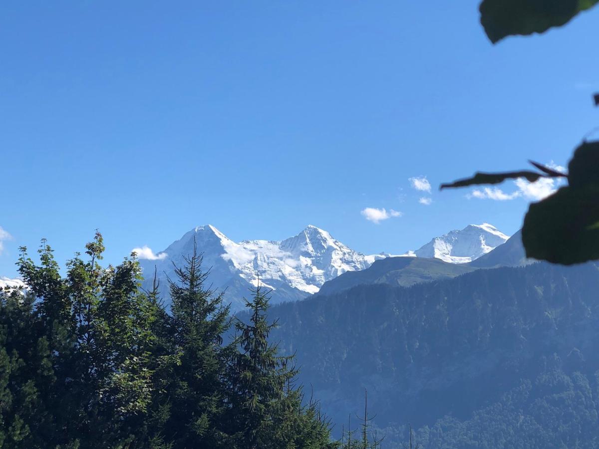 Wohnung Mit See Und Bergsicht Im Vier Sterne Hotel Беатенберґ Екстер'єр фото