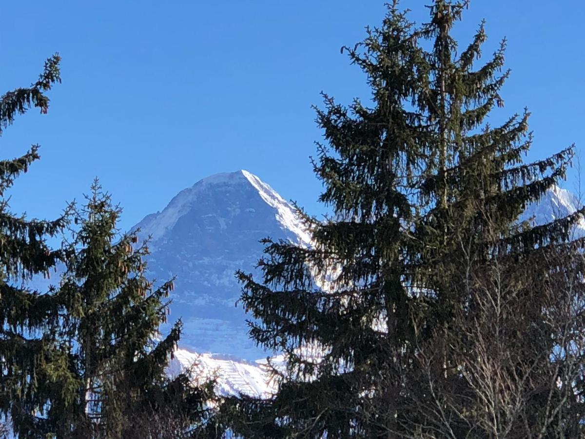 Wohnung Mit See Und Bergsicht Im Vier Sterne Hotel Беатенберґ Екстер'єр фото