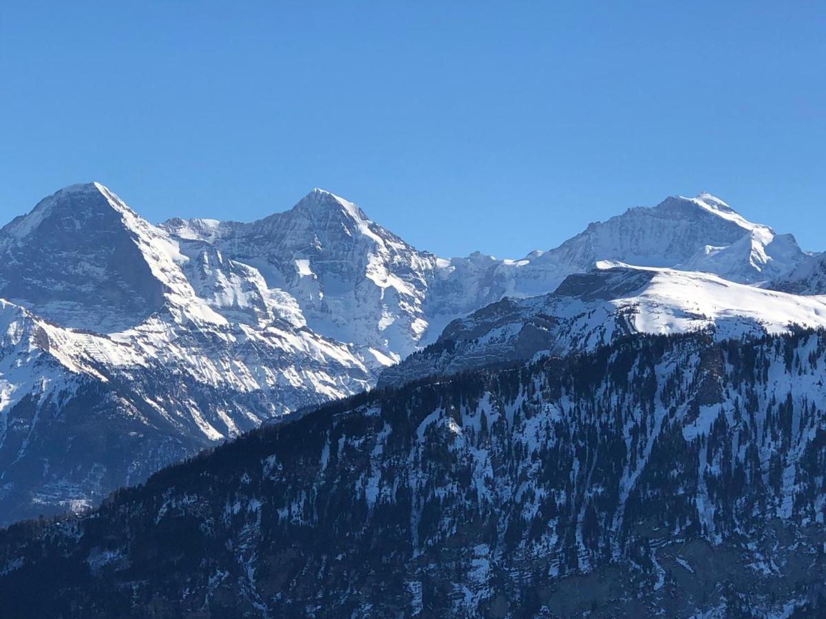Wohnung Mit See Und Bergsicht Im Vier Sterne Hotel Беатенберґ Екстер'єр фото