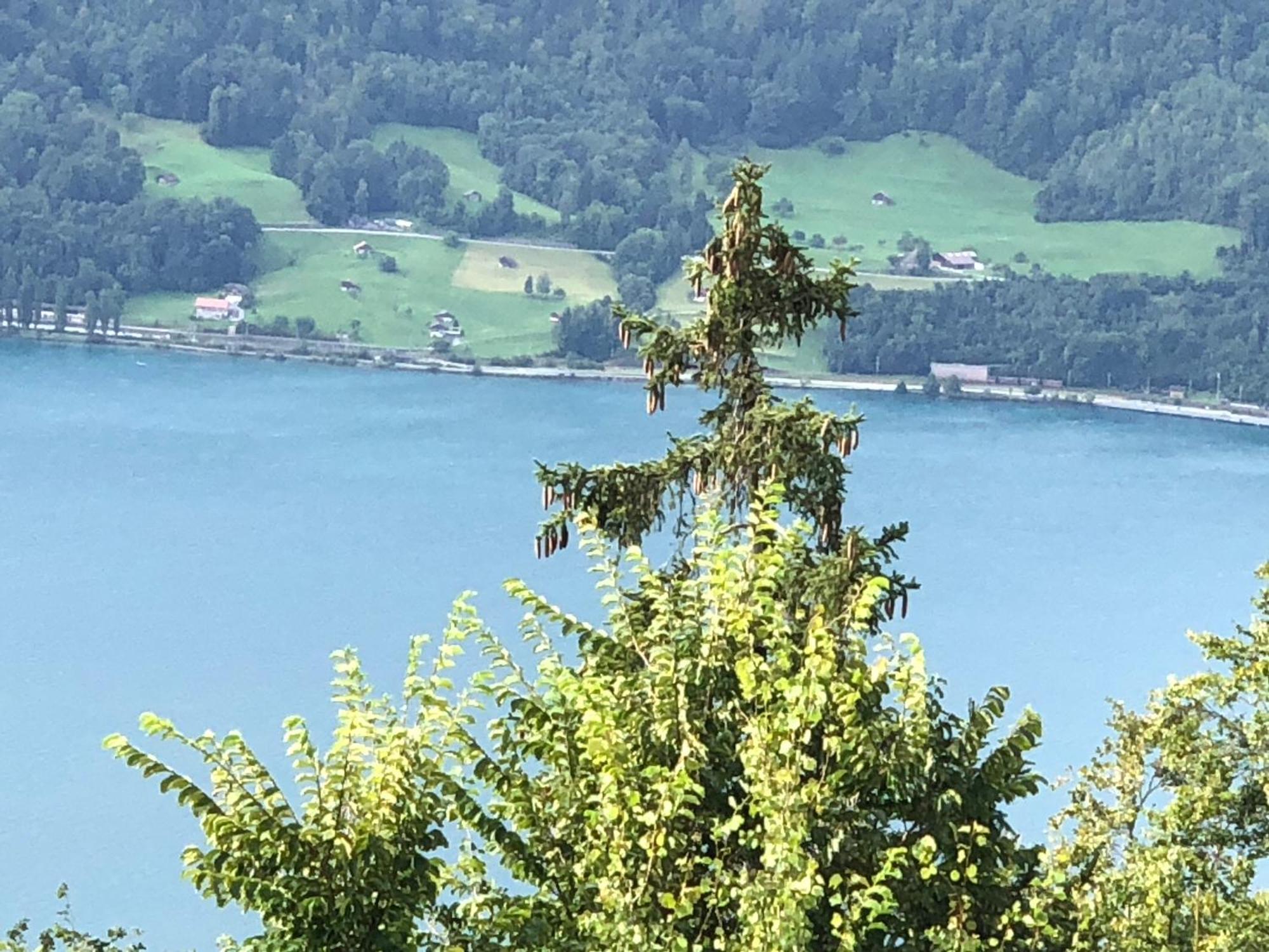 Wohnung Mit See Und Bergsicht Im Vier Sterne Hotel Беатенберґ Екстер'єр фото